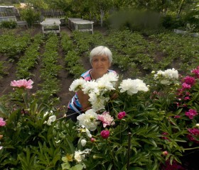 Лидия, 70 лет, Медногорск