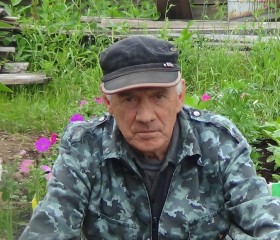 VIKTOR MUSHKETOV, 73 года, Серов