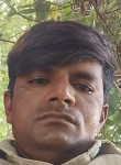 Dilip Bhai, 31 год, Vadodara