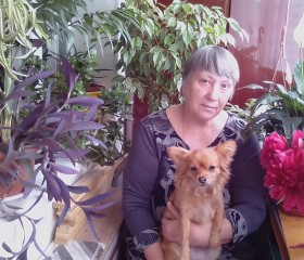 галина, 73 года, Ярославль