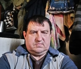 Анатолий, 53 года, Каменск-Шахтинский
