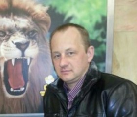Сергей, 44 года, Пестяки