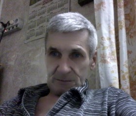 Владимир, 73 года, Гатчина