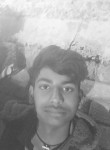 Akhelsh, 18 лет, Faridabad