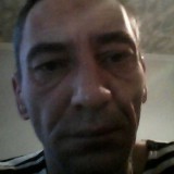 sosna2006