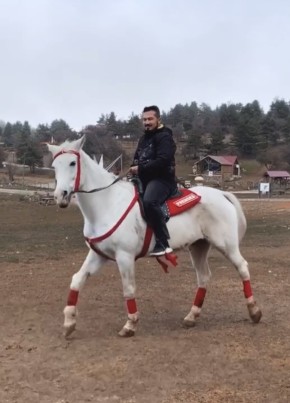 Tahir, 43, Türkiye Cumhuriyeti, Ankara