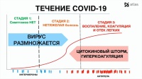 Открыть в полном размере