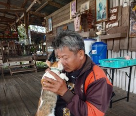 Oees, 38, Kaeng Khoi