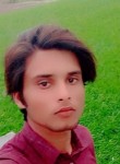 Nadir Ali, 23 года, لاہور
