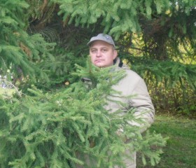 Pavel, 55, Saint Petersburg