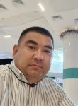 Manas, 36, Bishkek