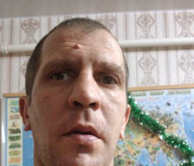 Сергей, 43 года, Боровск