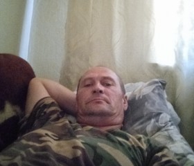Анатолий Шинко, 45 лет, Волчиха