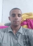 Ahmed farg, 27 лет, المحلة الكبرى