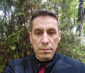 Nicolae Tabarcea, 51 год, Câmpulung Moldovenesc