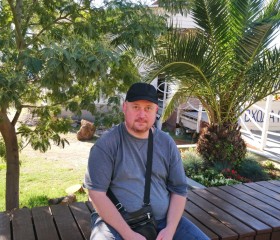 Григорий, 43 года, Санкт-Петербург