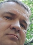 Александр Панин, 39 лет, Алматы