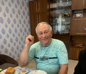 владимир, 76 лет, Пенза