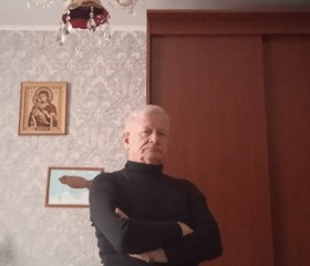 Михаил Бойцов, 67 лет, Санкт-Петербург