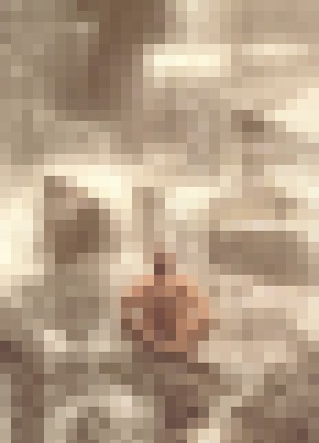 Artyem, 36, Russia, Moscow