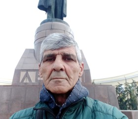 Ramiz Qaribov, 66 лет, Biləcəri