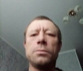 Алексей, 45 лет, Целинное (Алтайский край)