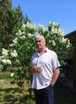 Михайл Толстиков, 64 года, Красноярск