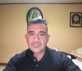 Alejandro, 47 лет, Tlaquepaque