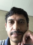 Saurav, 46 лет, 中国上海