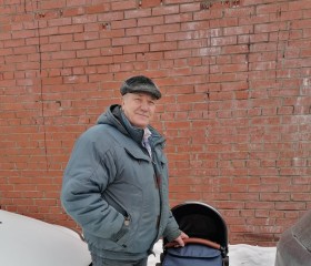 Василий, 65 лет, Сургут