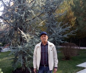 Виктор, 65 лет, Toshkent