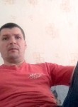 Сергей Блюденов , 48 лет, Шадринск