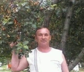 Владимир, 59 лет, Белгород