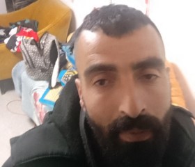 مبفسبت, 51, Tel Aviv