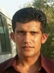 Tahir Bhatti, 42 года, ضلع منڈی بہاؤالدین