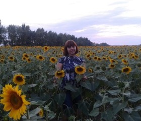 Лия, 36 лет, Воронеж