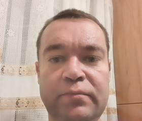 Максим, 41 год, Брянск