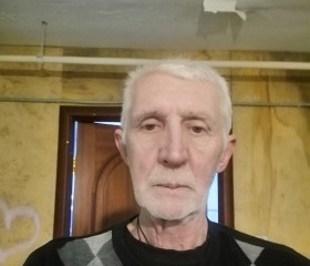 Владимир, 65 лет, Пенза