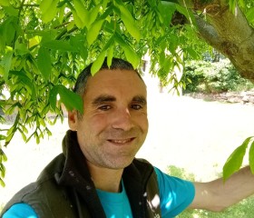 Pablo, 39, Lleida