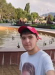 Виталий, 24 года, Димитровград