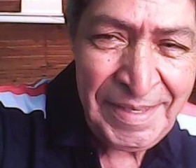 Joel, 76 лет, Campo Grande