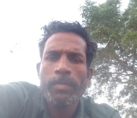 Aasai, 45 лет, Chennai