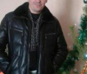 Дмитрий, 43 года, Шипуново