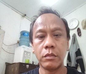 Jamin aja, 42 года, Djakarta