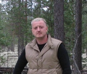 Дмитрий, 42 года, Штормовое