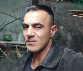 غسان, 46, Nablus