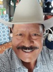 Jose Nicolas hdz, 62 года, Torreón