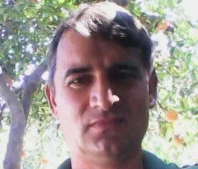 Cheles, 53, Sector 5