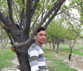 Soraj Hoseynzade, 20 лет, تِهران