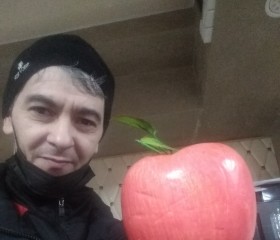 Марат Мамаев, 46 лет, Мурманск